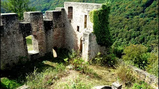 Die Wolfsburg / Neustadt an der Weinstraße in Rheinland-Pfalz