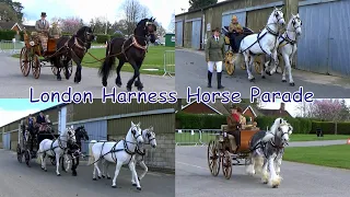 London Harness Horse Parade Ardingly 2024