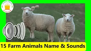 15 Farm Animals Name & Sounds |Realtime Animals Video|Animals for kids|Tamilarasi English Vocabulary