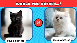Would you Rather - Cats Edition 😺😻
