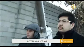 Осторожно, Усенов!