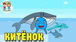 Дельфиненок Тёмик – КИТЕНОК | 🐬 | Морские животные. Мультики для детей