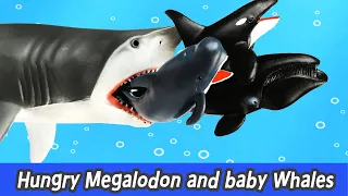 [EN] Hungry Megalodon and baby whales, sharks and whales cartoons for kids, collectaㅣCoCosToy