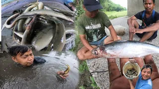 Snakehead fishing with piray bish