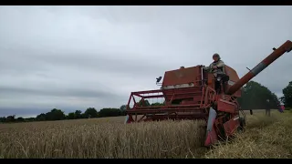 Massey Ferguson 186 , Erntefest Wiemersdorf 2021