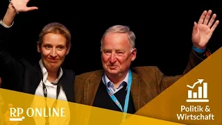 AfD wählt Spitzenduo Alexander Gauland und Alice Weidel