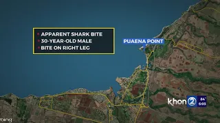 Surfer apparently bitten at Haleiwa Beach Park