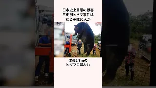 「日本史上最悪の獣害」三毛別ヒグマ事件についての雑学