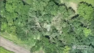 Поки ви погано ховаєте танк, ми добре ховаємо вас