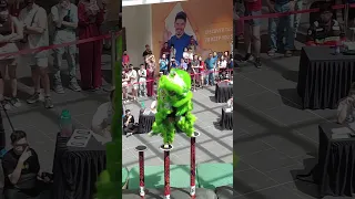 马来西亚玄龙 Malaysia Xuan Long Lion Dance Practice vs Competition-#acrobaticliondance  #shorts