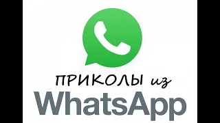 Приколы из whatsApp с участием животных №2