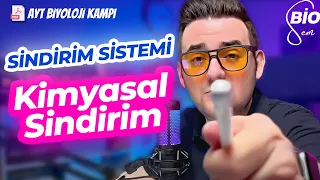 Sindirim Sistemi-3 Besinlerin Kimyasal Sindirimi | Ayt Biyoloji Konu Anlatımı 11. Sınıf | 2024