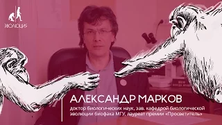 Александр Марков о фонде «Эволюция»