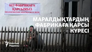 Тергеу, тінту, қамау. Алтын фабрикасына қарсы Маралды халқының күресі