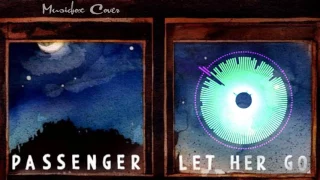 [Music box Cover] Passenger - Let Her Go