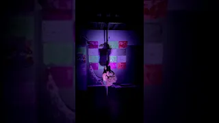 Americano - Pole Dance Performance