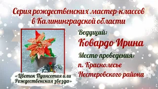 Творческий мастер-класс «Цветок Пуансетия или Рождественская звезда»