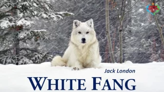 White Fang - Audiobook by Jack London