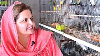 Tour of Mithay Bliss Aviary|| Amber Asif Birds Breeding Room|| Lady Birds Farmer|| Parrots Farming