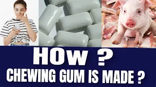 THIS IS HOW BUBBLE GUM IS MADE|WHAT IS CHEWING GUM MADE OF? TOP 10 MODERN FOOD PROCESSING TECHNOLOGY