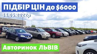 СВІЖИЙ ПІДБІР ЦІН до 6000$/ Львівський авторинок / 14 травня 2022р./