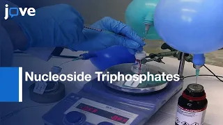 Nucleoside Triphosphates - From Synthesis To Biochemical Characterization l Protocol Preview