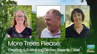 Creating & Sustaining Denser, Greener Cities Webinar