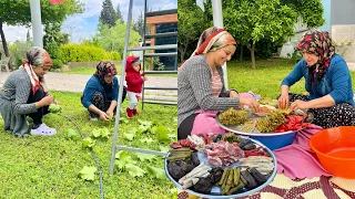 KÖYDE İLK LEZZETLİ SALAMURA YAPRAK HASADI TEPSİ TEPSİ NEFİS AKŞAM YEMEĞİ