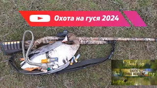 Весенняя охота на гуся 2024! Скрадок Мания Гравитация.