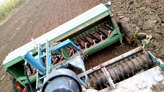 Sowing barley zetor proxima 8441+ rabewerk+amazone d8 30 special
