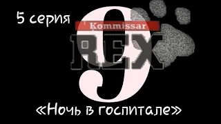 Комиссар Рекс, 9 сезон, 5 серия «Ночь в госпитале»