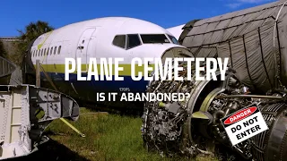 Plane Cemetery | ABANDONED? Adventure with my Dog #shorts