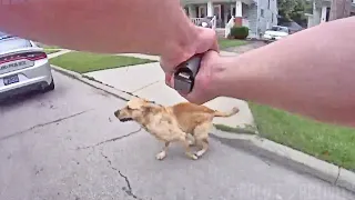 GRAPHIC CONTENT WARNING: Bodycam Footage of Lorain Police Officer Shooting Dog