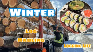 A Wonderful Winter Hauling Day In The Life Of A log Truck Driver And His Delicious Meals