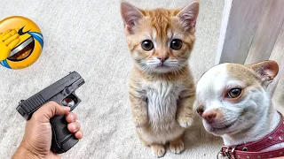 When God sends you a funny cat and dog🤔Funniest cat and dog ever😻🐈# 5