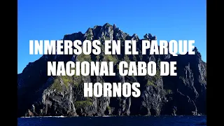 1/7 Inmersos en el Parque Nacional Cabo de Hornos