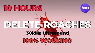 Silent (but powerful) cockroach repellent sound | ultrasonic deterrent | ultrasound