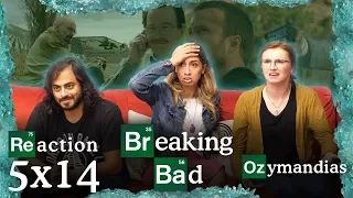 Breaking Bad - 5x14 Ozymandias - Group Reaction