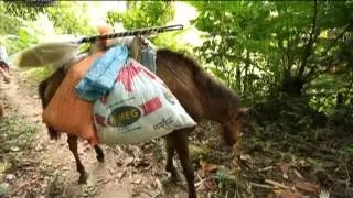 Mag-anak sa Apayao, pitong oras na naglalakad patungong ospital | Reel Time