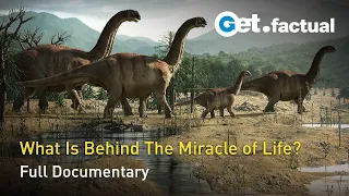 Great Moments in Evolution - The Miracle of Life | Full Documentary