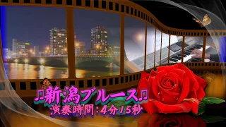 ♫　新潟ブルース ♫エレクトーン（ELS-02)演奏