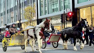LONDON HORSE DRIVE . #centrallondon  #londonstreetwalk #londonrunawayhorses #viral