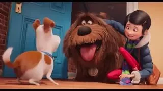 The Secret Life of Pets 2016