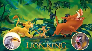 Learn Animals with 'Lion King' | 03 | Wildlife Adventure | Storyline