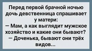 Перед Первой Брачной Ночью Дочь Спрашивает Про Мужское Хозяйство! Сборник Свежих Анекдотов! Юмор!