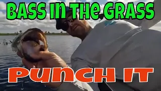 Punching Grass to find Bass - Best Bass Fishing Technique