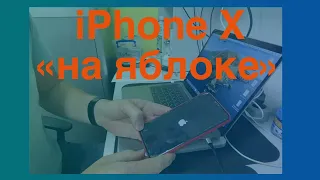 iPhone X завис на яблоке. Варианты решений.