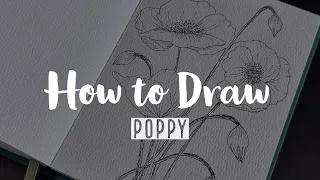 How to Draw Aesthetic Flowers | Jaima Shahira