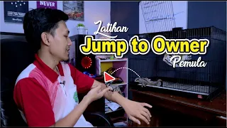 Latihan JUMP TO OWNER untuk pemula