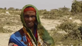 Mein Somalia – Zwischen Krieg und Armut (Web-Doku)